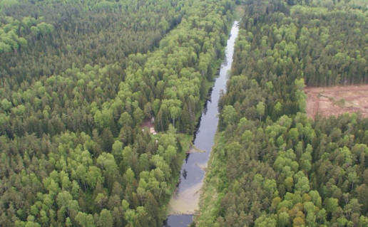 20_Dubysos - Ventos perkasas.jpg